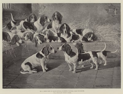 De Meute van Basset-Hounds van de Heer J Moss in Bishops Waltham, nabij Winchester door Valentine Thomas Garland